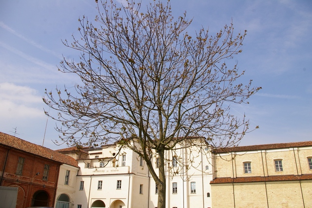 Foto del Comune di Asti Archivio di Stato di Asti Immagini